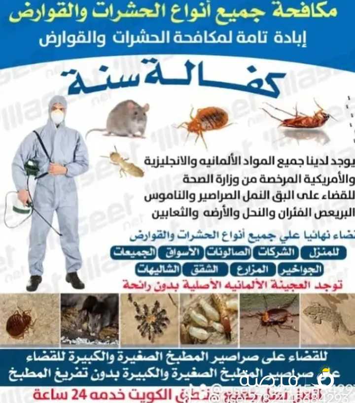 إبادة تامة لجميع أنواع الحشرات والقوارض

يوجد لدينا العجينه الأمريكي

جميع المواد الألمانية و الانجليزيه والأمريكية المرخصة من وزارة الصحة

القضاء على البق و النمل و الصراصير و الناموس و البريعص والفئران والنحل والارضه والثعابين

يوجد لدينا العجينه الألمانية الأصليه بدون رائحة

نخدم

المنازل

الشركات

الصالونات

الأسواق

الجمعيات

الجواخير

المزارع

الشقق

الشاليهات

جميع مناطق الكويت

خدمة 24 ساعة