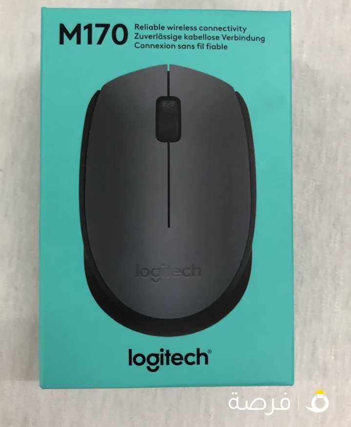 Logitech M170