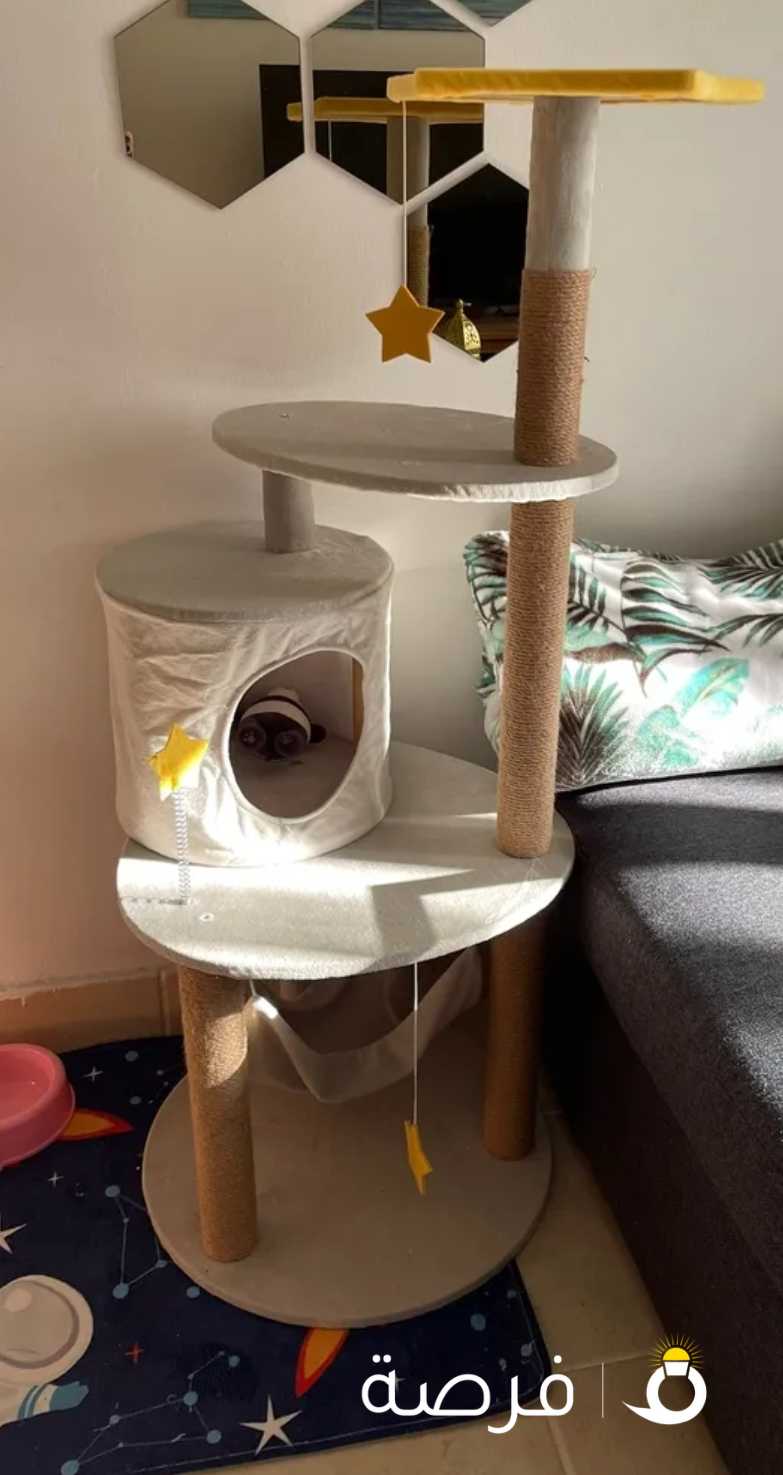 شجرة للقطط 4 ادوار cat tree