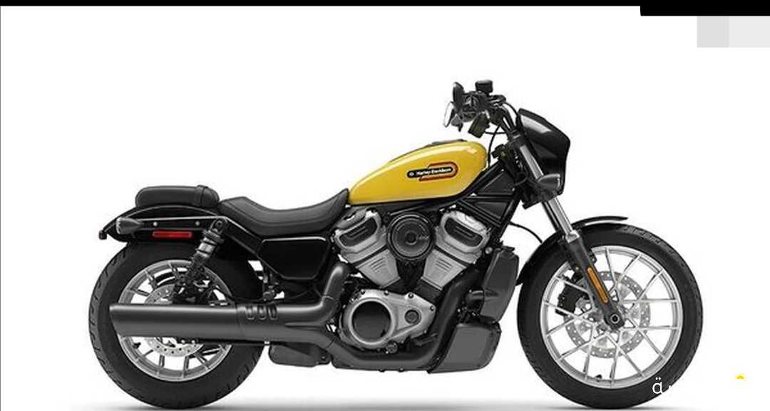 hardly Davidson nightstar special 2024