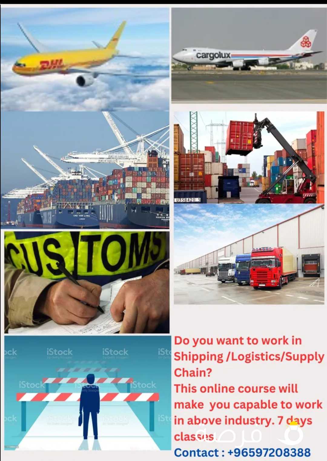 Online classes in Logistics and Supply Chain for 7 days.