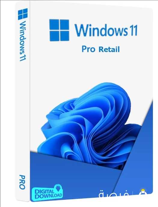 Windows 11 pro (Only key) no cd