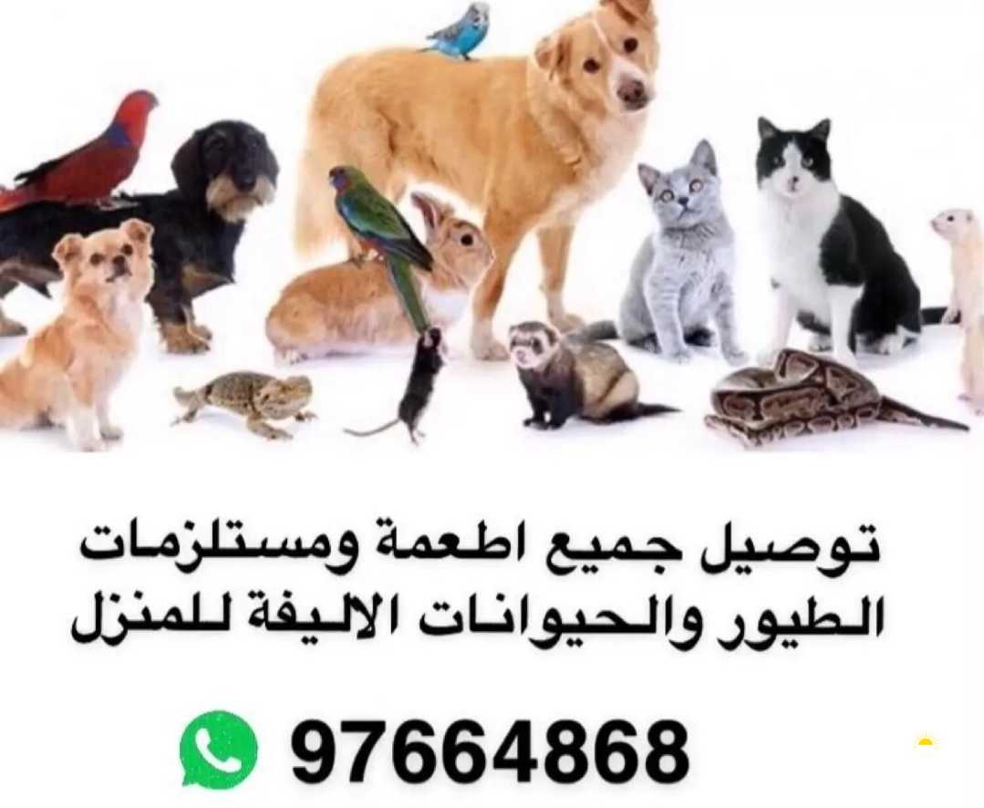 توصيل جميع مسلتزمات الطيور والحيوانات الاليفة