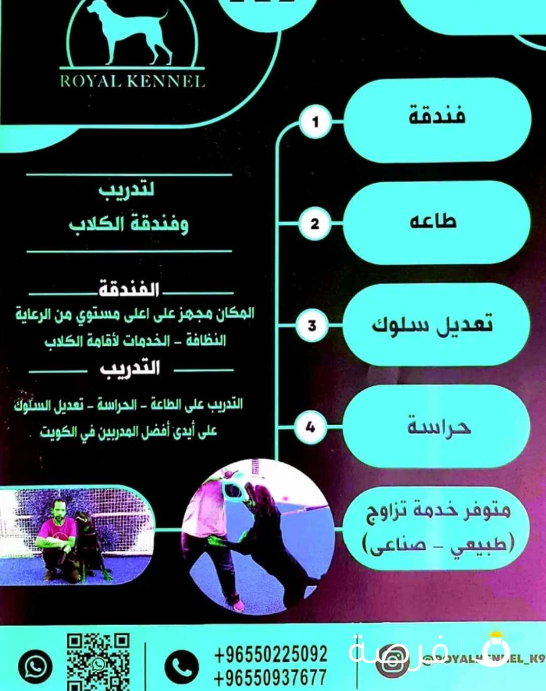 رويال كينل لتدريب وفندقة الكلاب