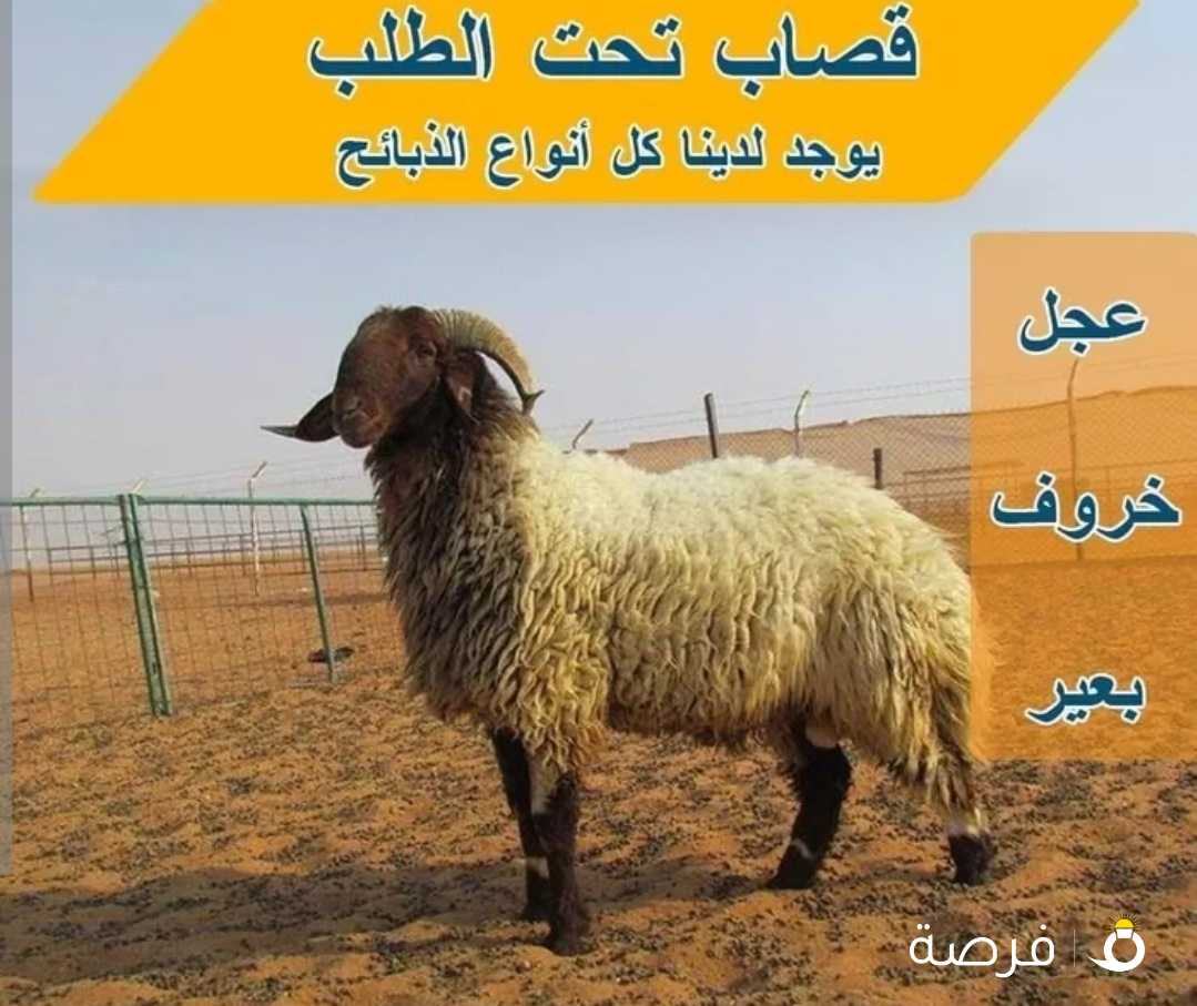 قصاب بالكويت لجميع انواع الذبابح وكل عام وانتم بخير