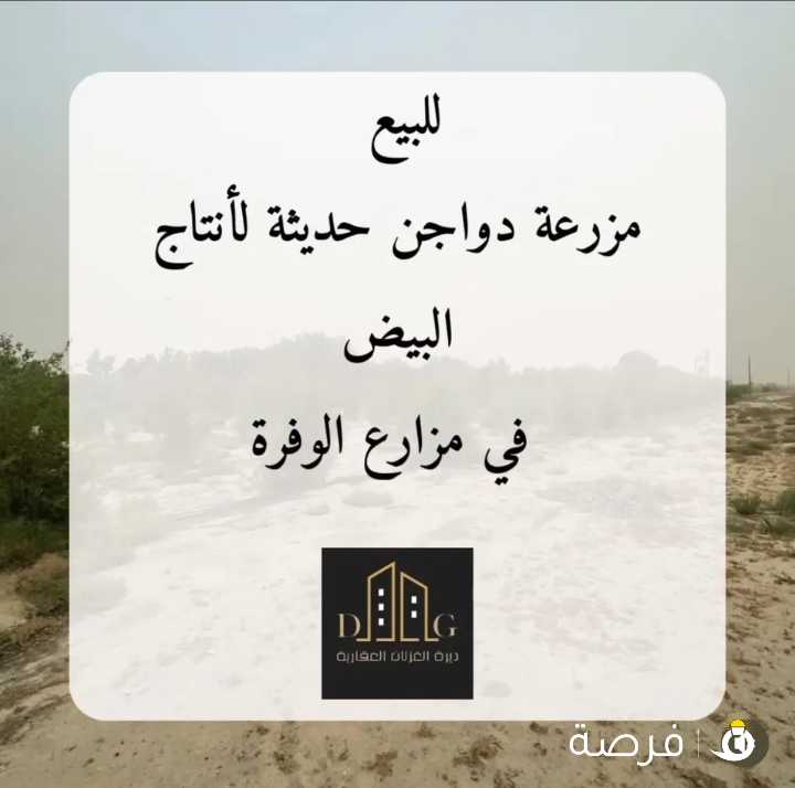 للبيع شركة انتاج بيض