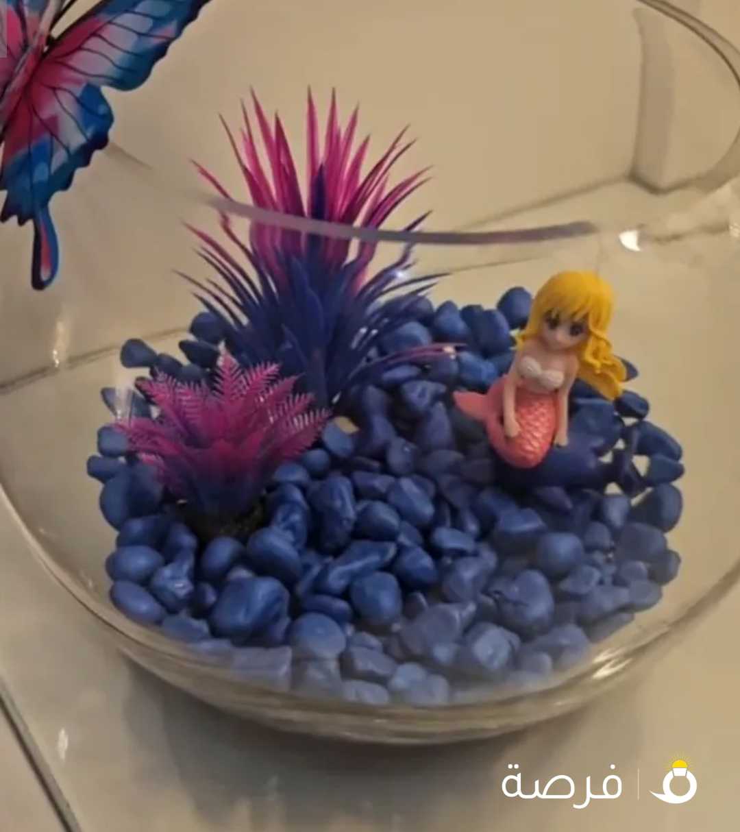 betta fish