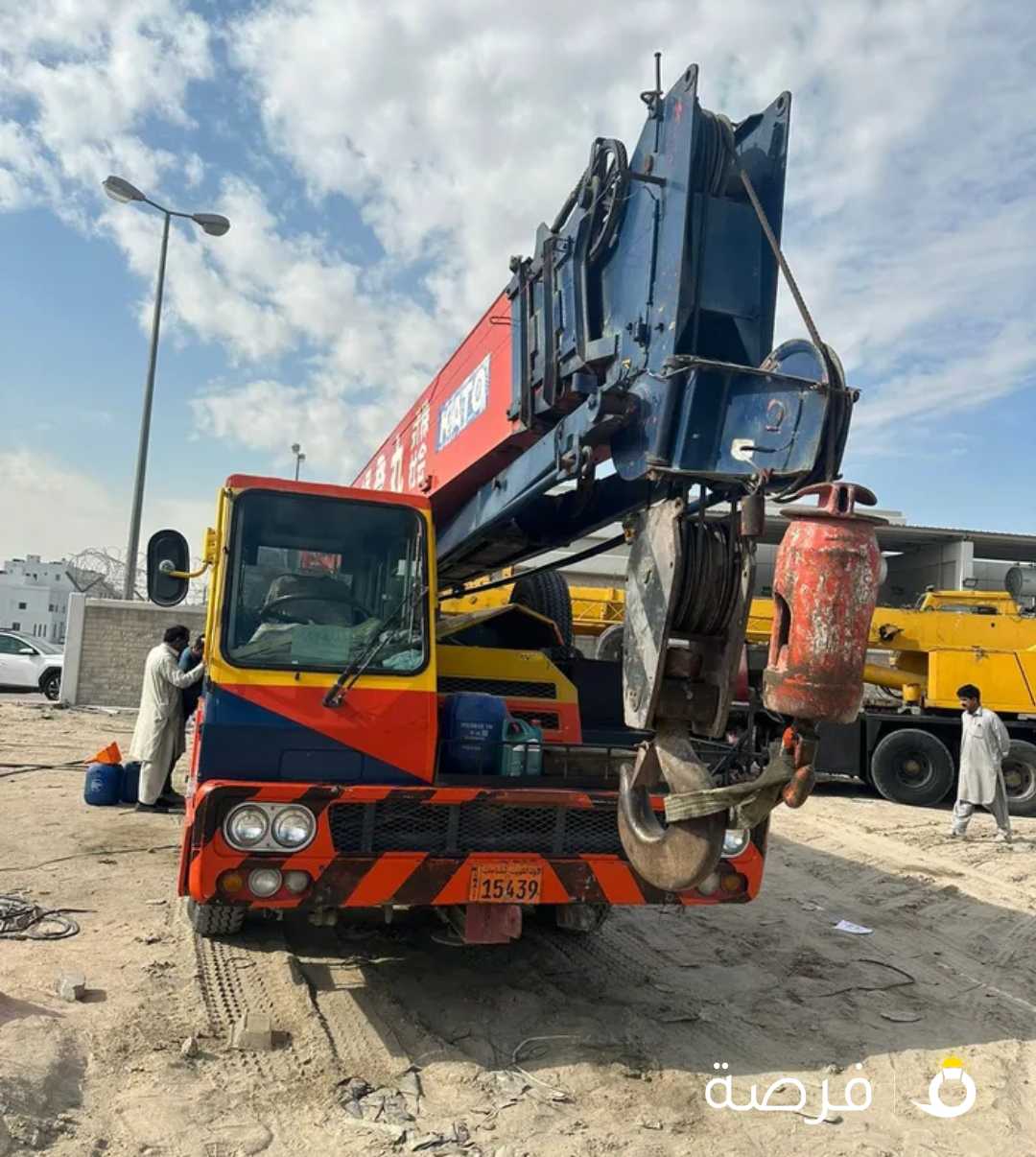 25 Ton crane for sale