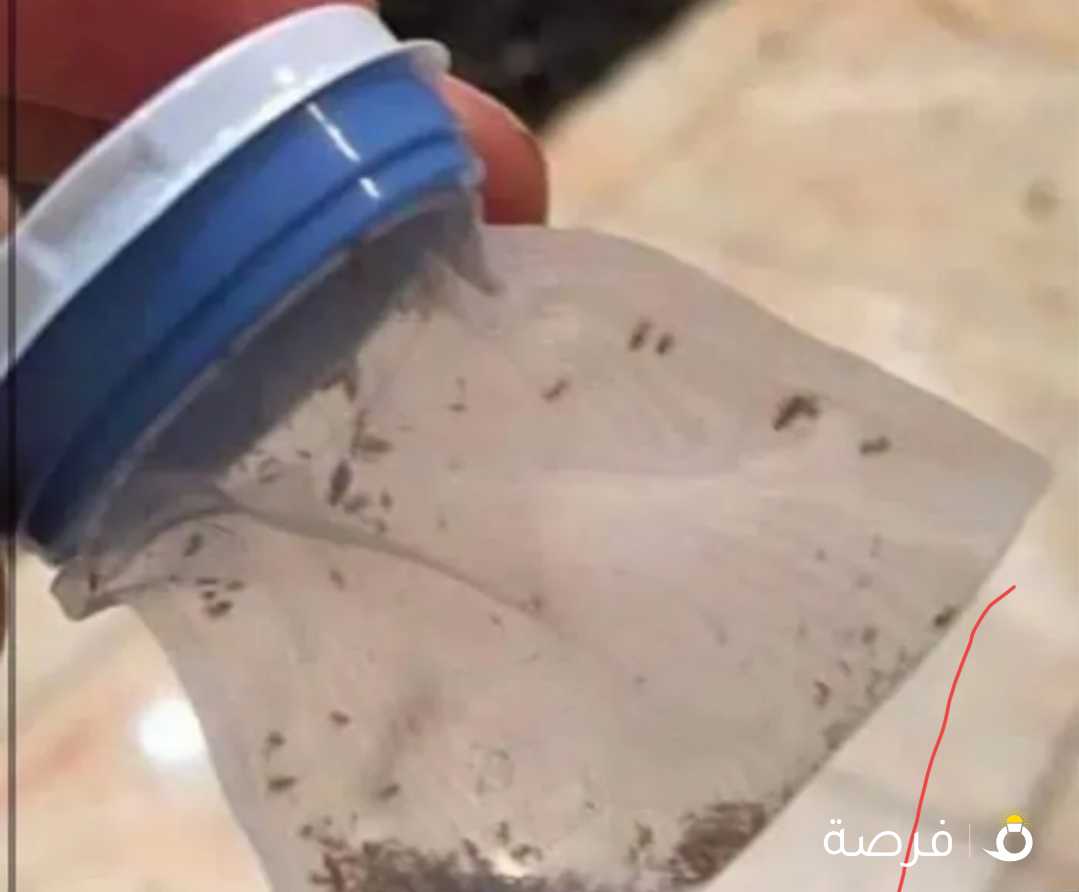 مشط القمل لسحب القمل والصيبان بسرعه