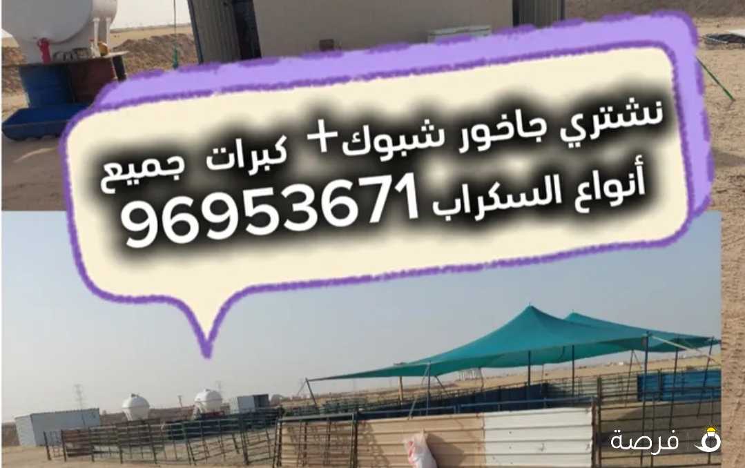 الماشيه غنم وماعز

969536X