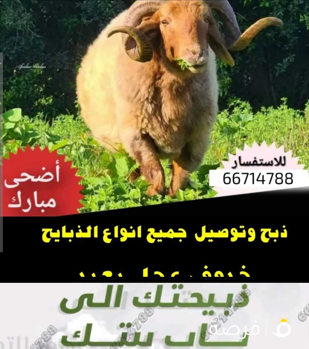 قصاب تحت الطلب الكويت