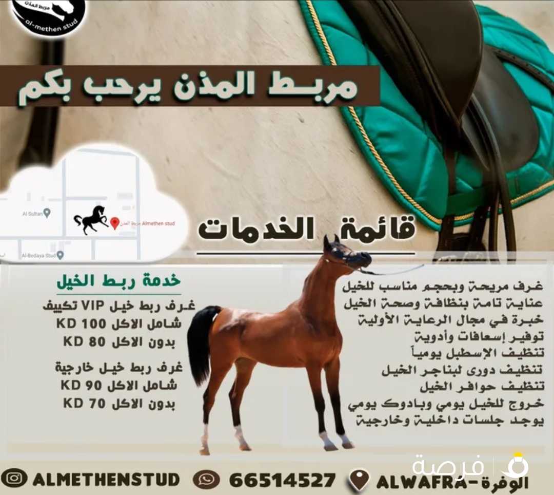 ايواء الخيل / خدمة ربط الخيل