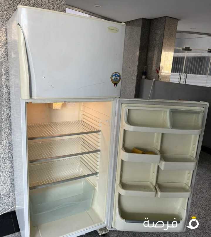 Fridge and Freezer