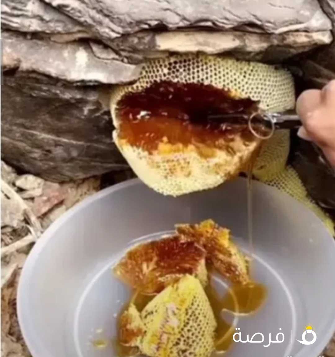 are you want to pure honey of kuwait please call me. هل تريد الحصول على عسل كويتي نقي من فضلك اتصل