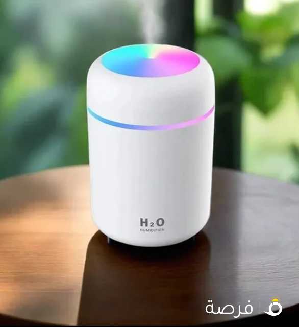 H2O humidifier