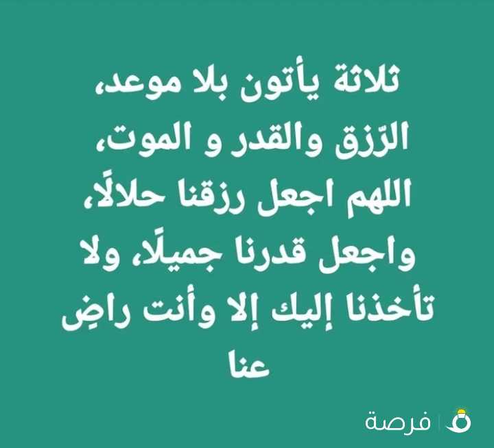 للبيع شركة مصنفة بلدية وشركة تجارة عامة وشركة تجهيزات غذائية وشركة صرافة تحويلات خارجية