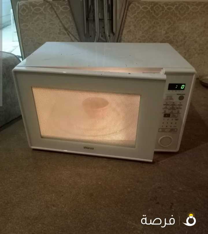 electronic micro oven