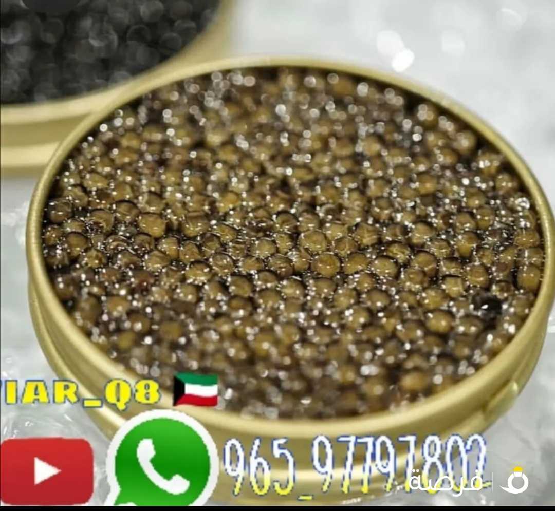 العسل الابيض النادر الاصلي وخلطه المتزوجين والرياضيين وجميع انواع الكافيار