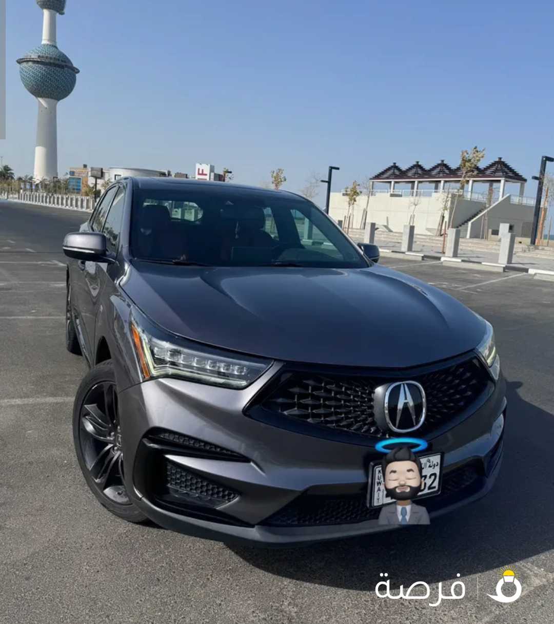 Acura 2019 Rdx Aspc