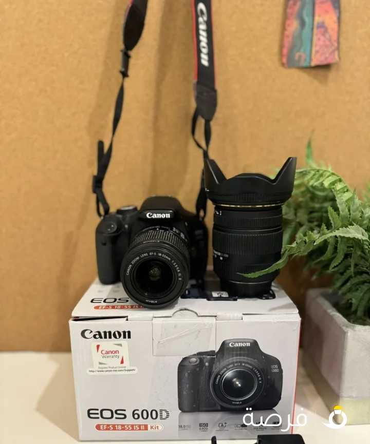 Canon 600d + 2 lenses