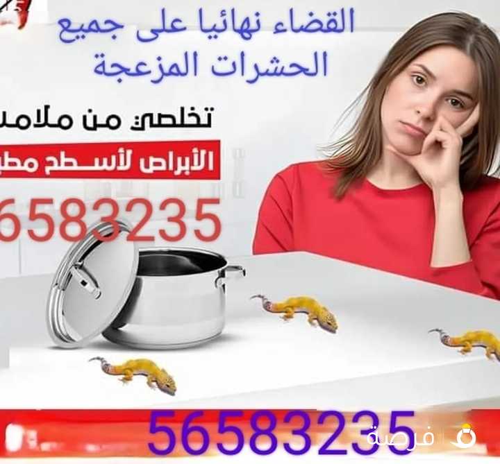 مكافحه حشرات في الكويت