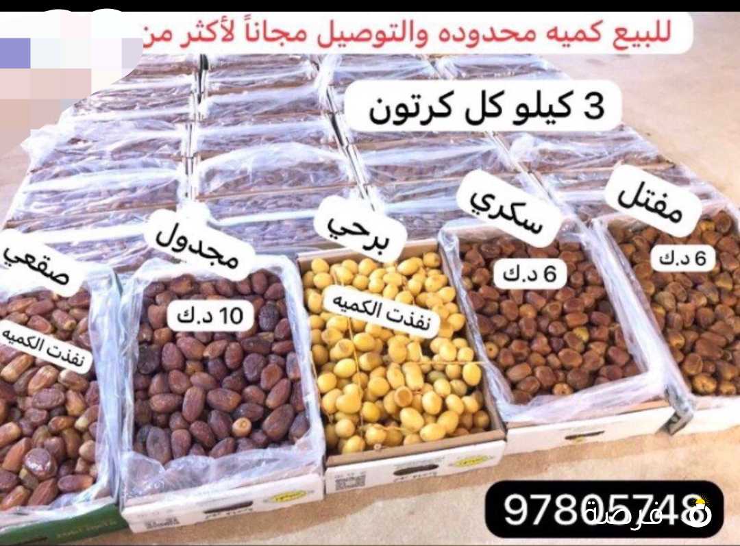 للبيع رطب وتمر جدید