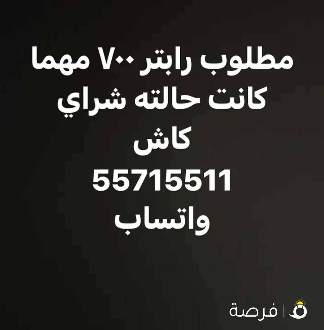 مطلوب رابتر