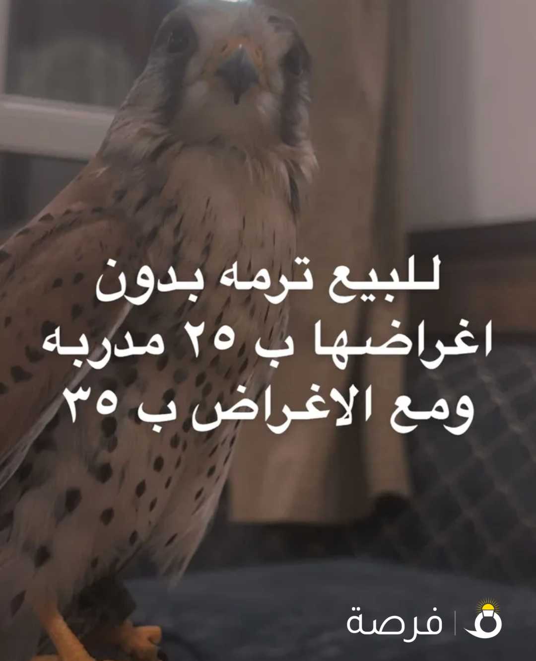 للبيع ترمه