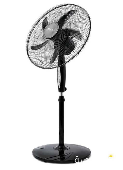 Wansa Stand Fan, 18 Inch