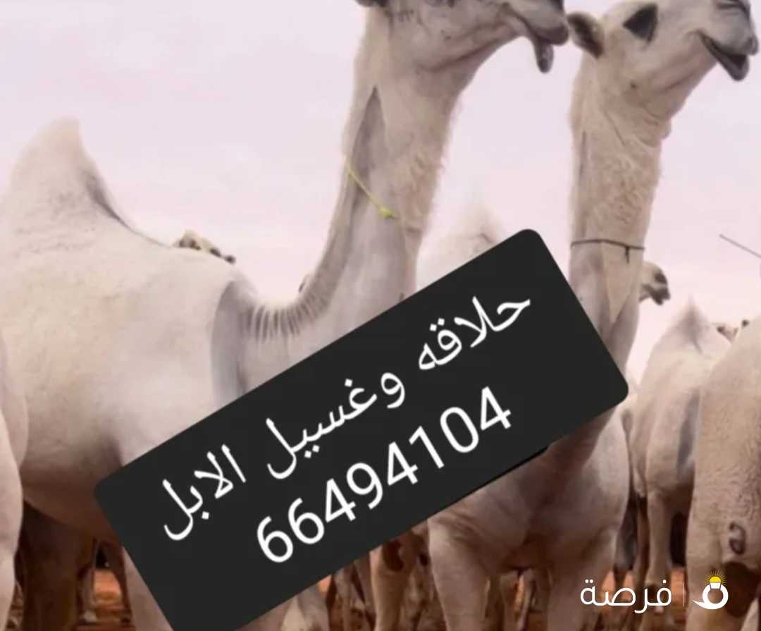 حلقه وغسيل لابل جميع مناطق الكويت