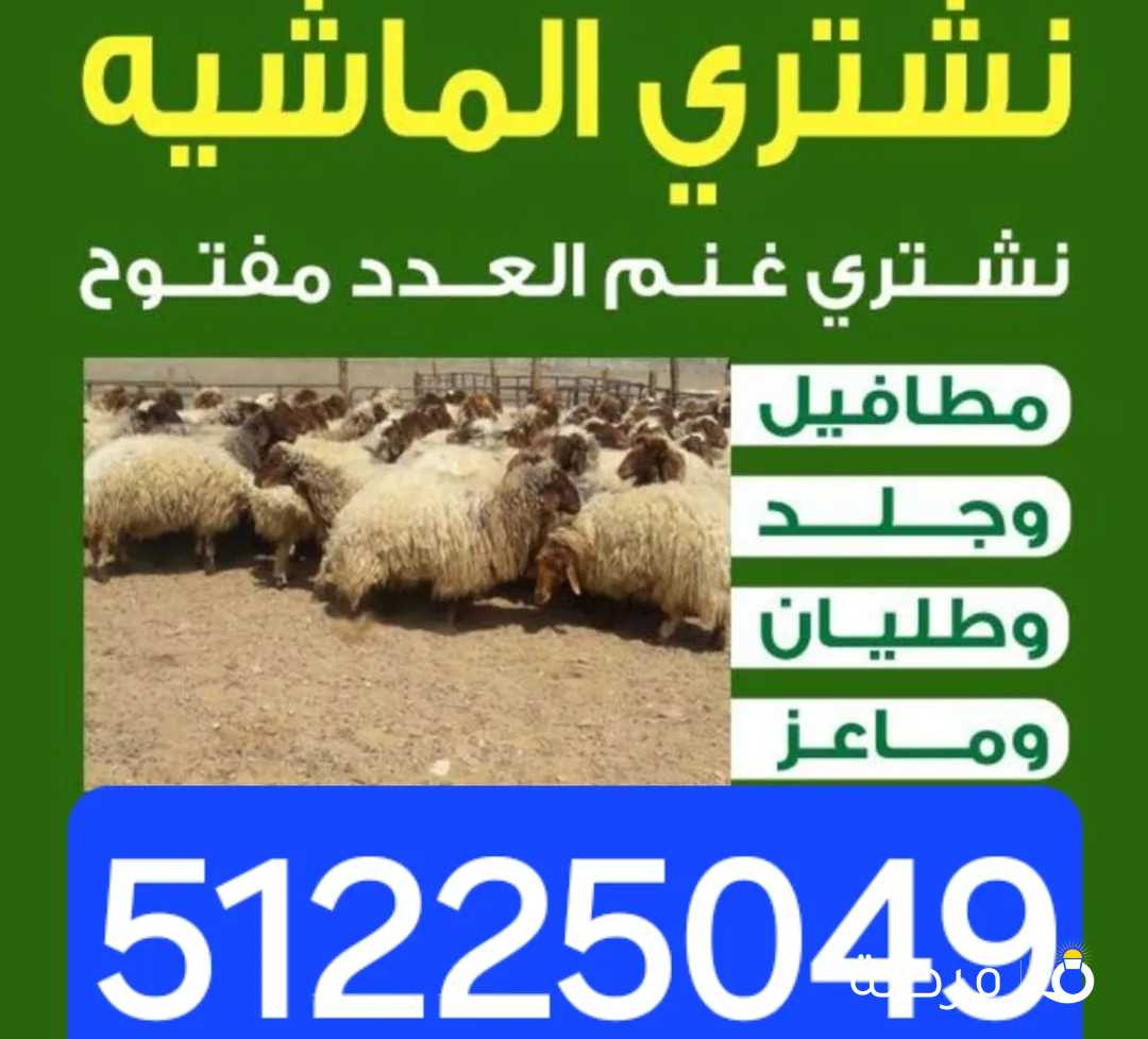 نشتري جميع أنواع الحلال