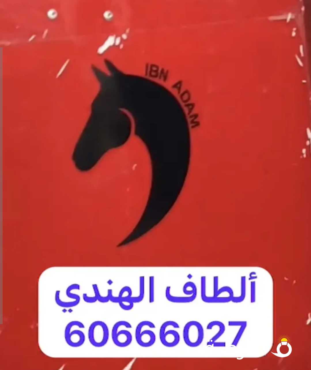 تقليم خيل ل