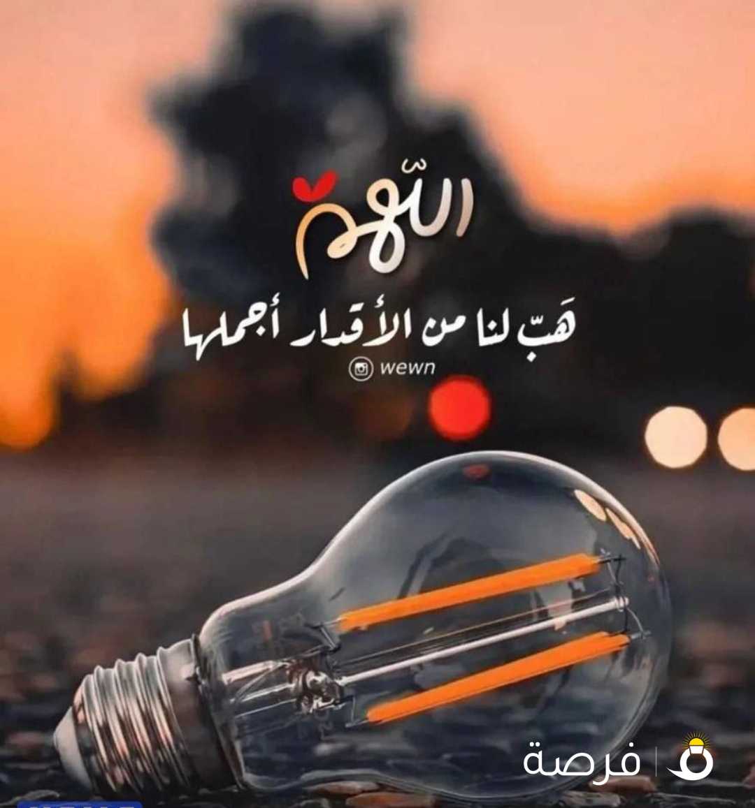 سیده ابحث عن عمل يناسب مؤهلات