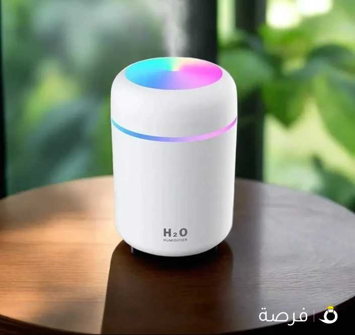 H2O humidifier