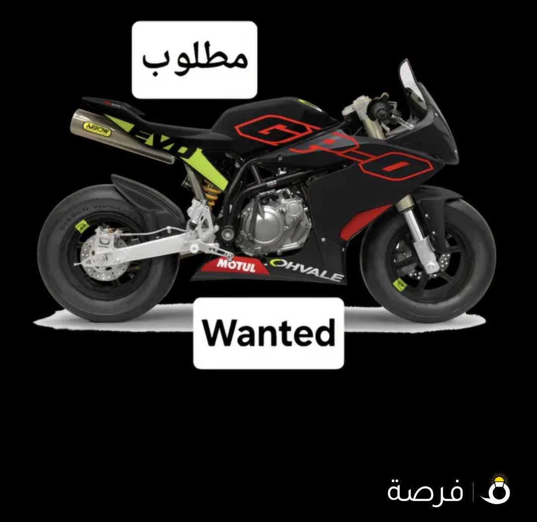 Wanted ohvale مطلوب