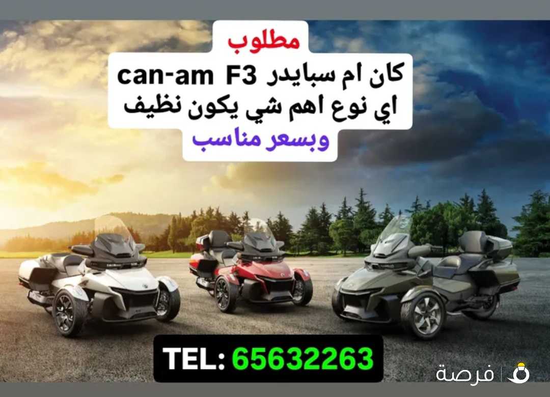 مطلووب كان ام سبايدر