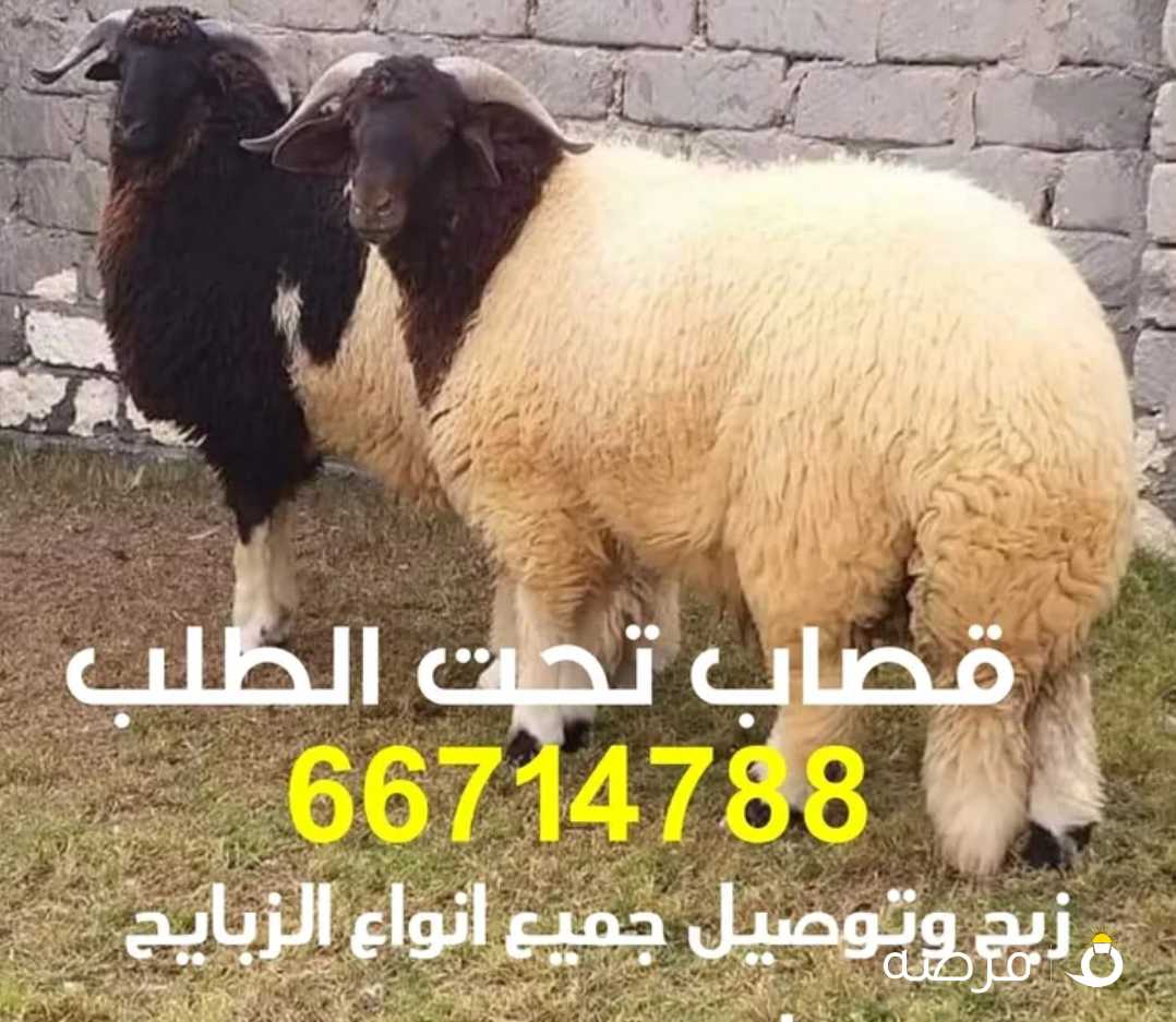 قصاب تحت الطلب