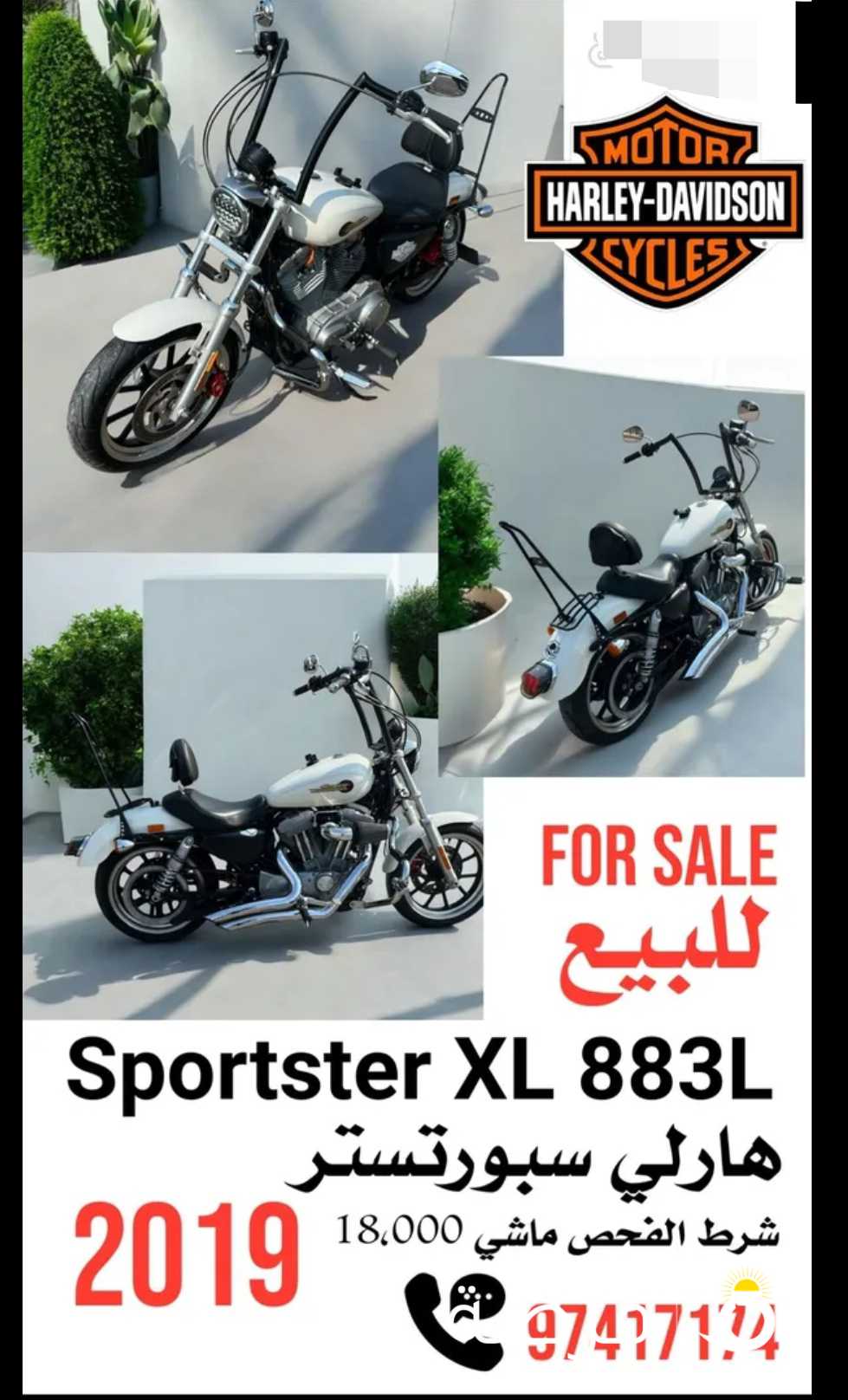 للبيع سبورتستر XL883L