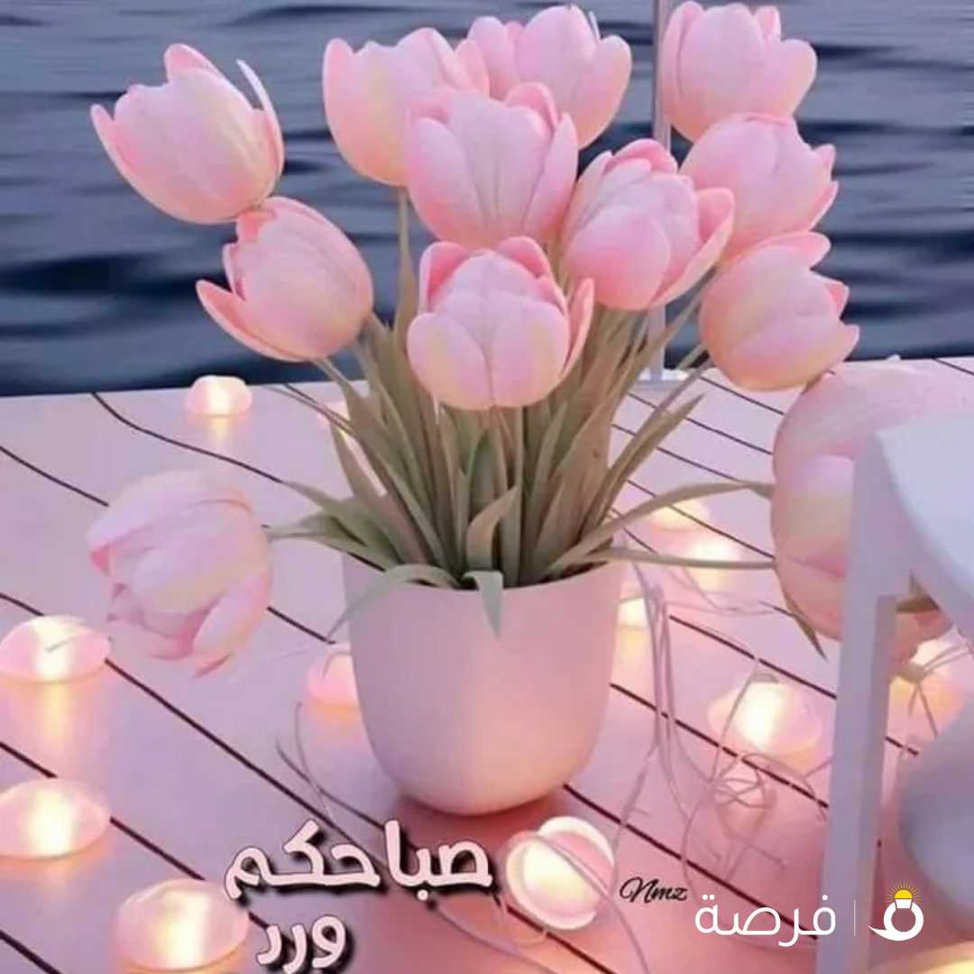 للبيع علاقات ملابس ألوان جميله .