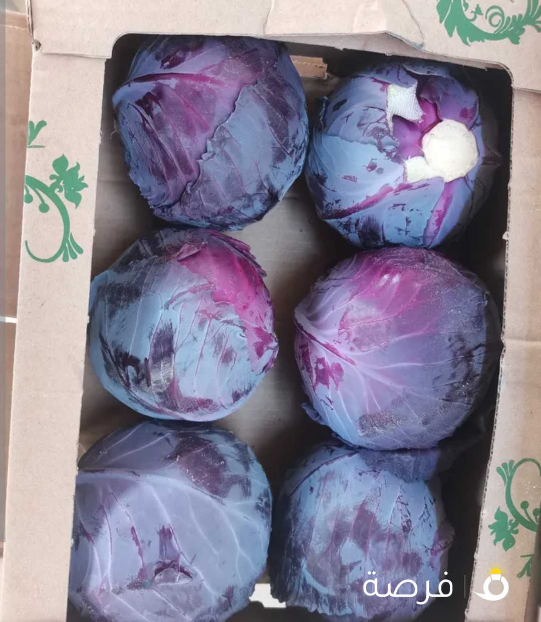 Red cabbage Orgaic kuwait