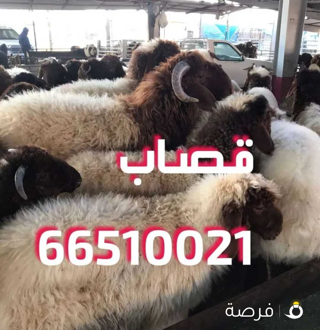 قصاب تحت الطلب +زبايح للبيع