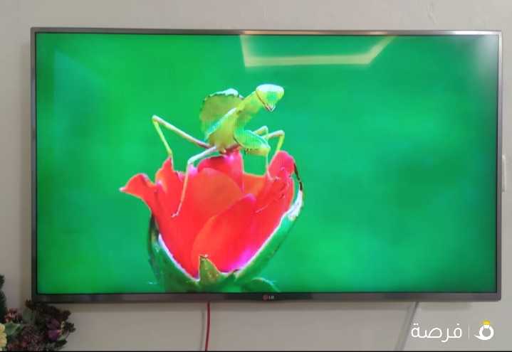 LG SMART TV للبيع