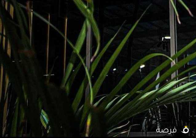 رضا السيد
ميدان حولي ‎,‎حولي
الحالي: شيف شاورما في | الاردن من سنه ٢٠٠١ الى سنه ٢٠٩ مطعم الكرم العربى مطعم ريم جيل عمان مطعم بشكا خلدا والصوفيه فى الكويت من ٢٠١٠ مطعم عالبال مطعم شاكر مطعم فلافل حمادة
15+ سنة
شهادة ثانوية عامة
العمل جماعي
التعامل مع الآخرين