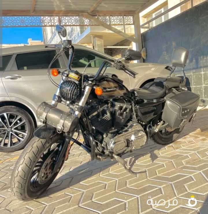 للبيع Harley Davidson 1200 XL Special