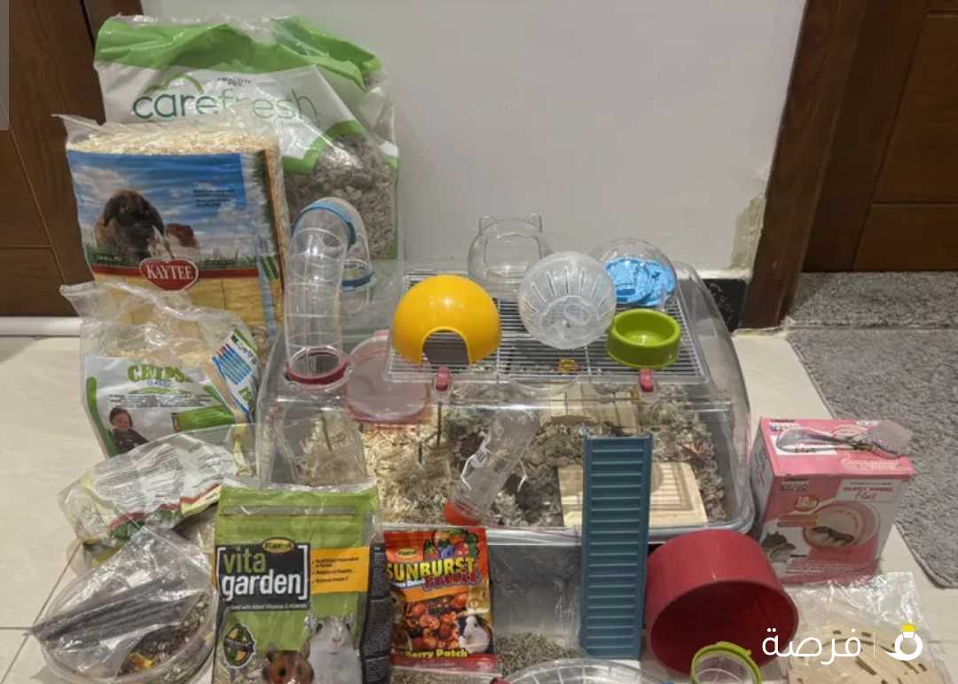 للبيع هامستر روسي العمر 9 شهور مع جميع مستلزماته