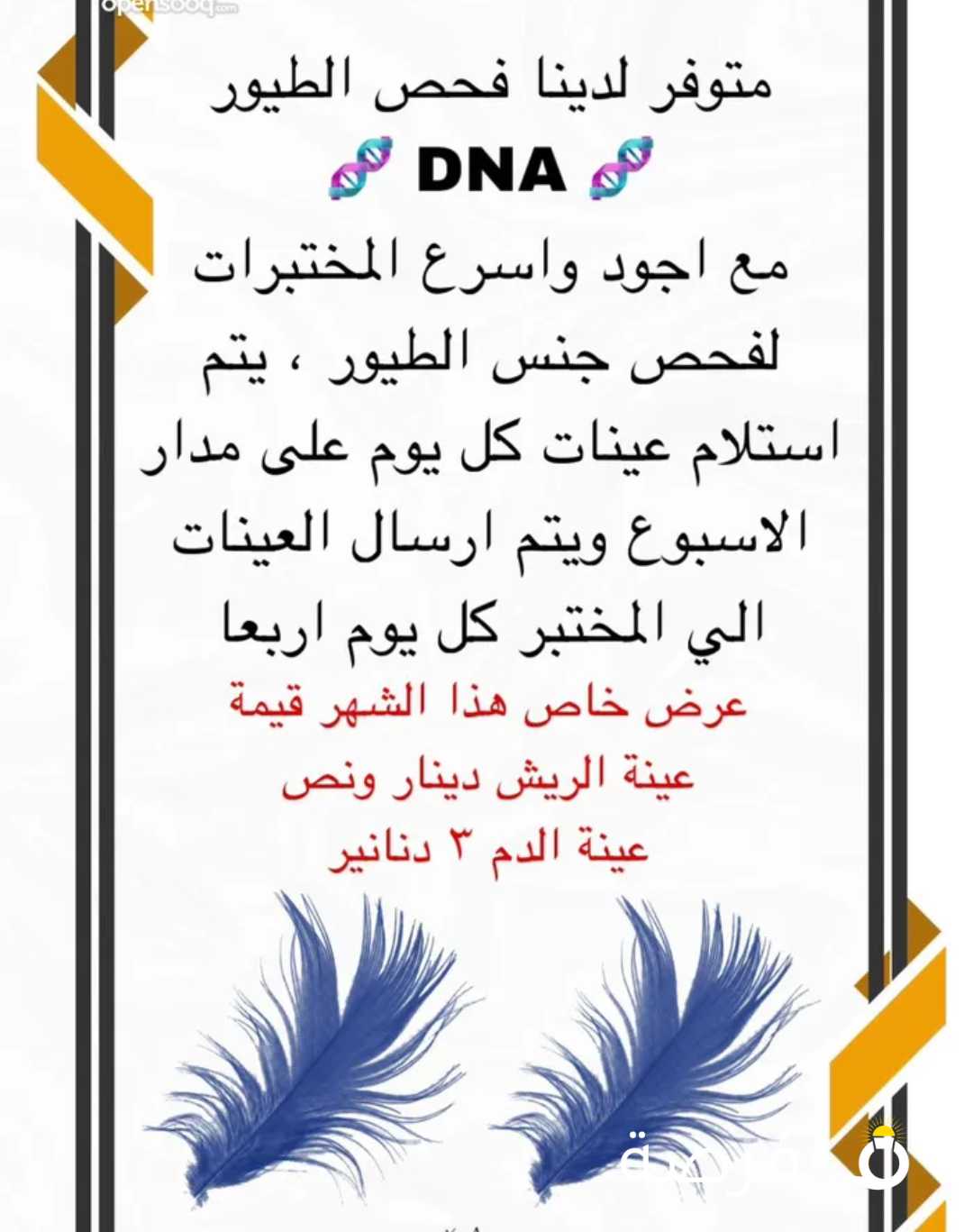 فحص DNA لمعرفة جنس الطير