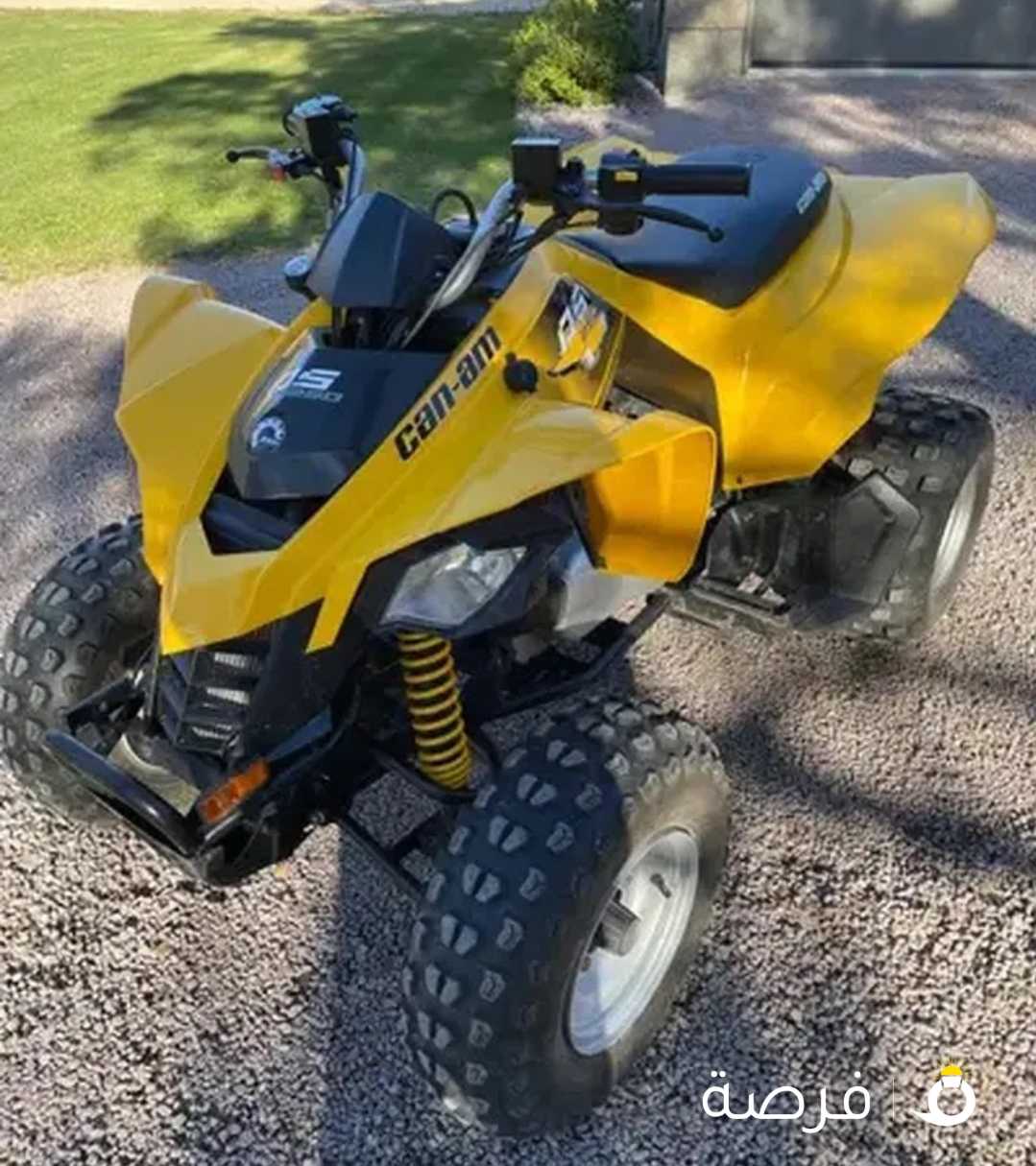 Can-am ds250 2017
