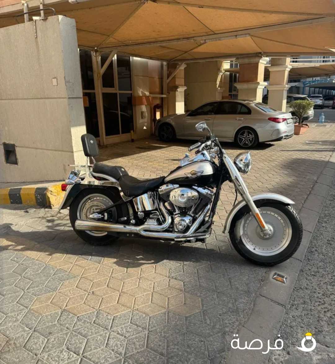 هارلي فات بوي 2003 نظيف جداااا نادر ماشي 25 الف فقط مستورد من امريكا