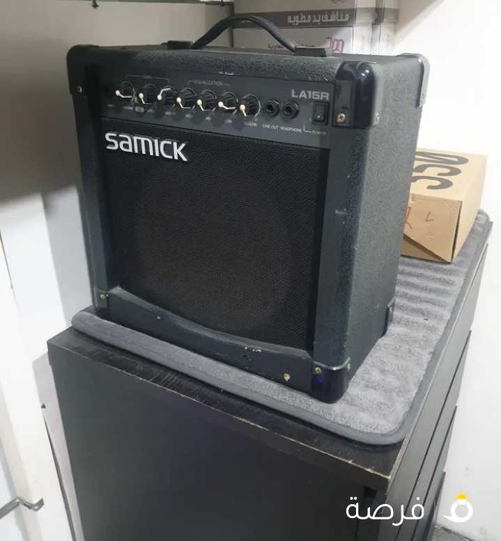 مكبر صور ومنظم