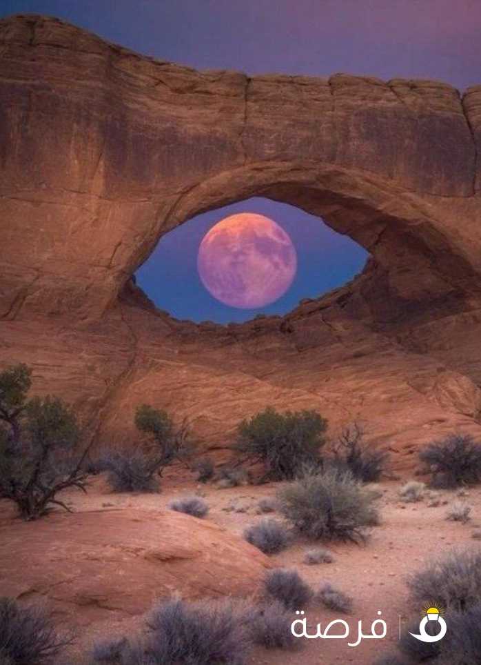 توصيل موظفات